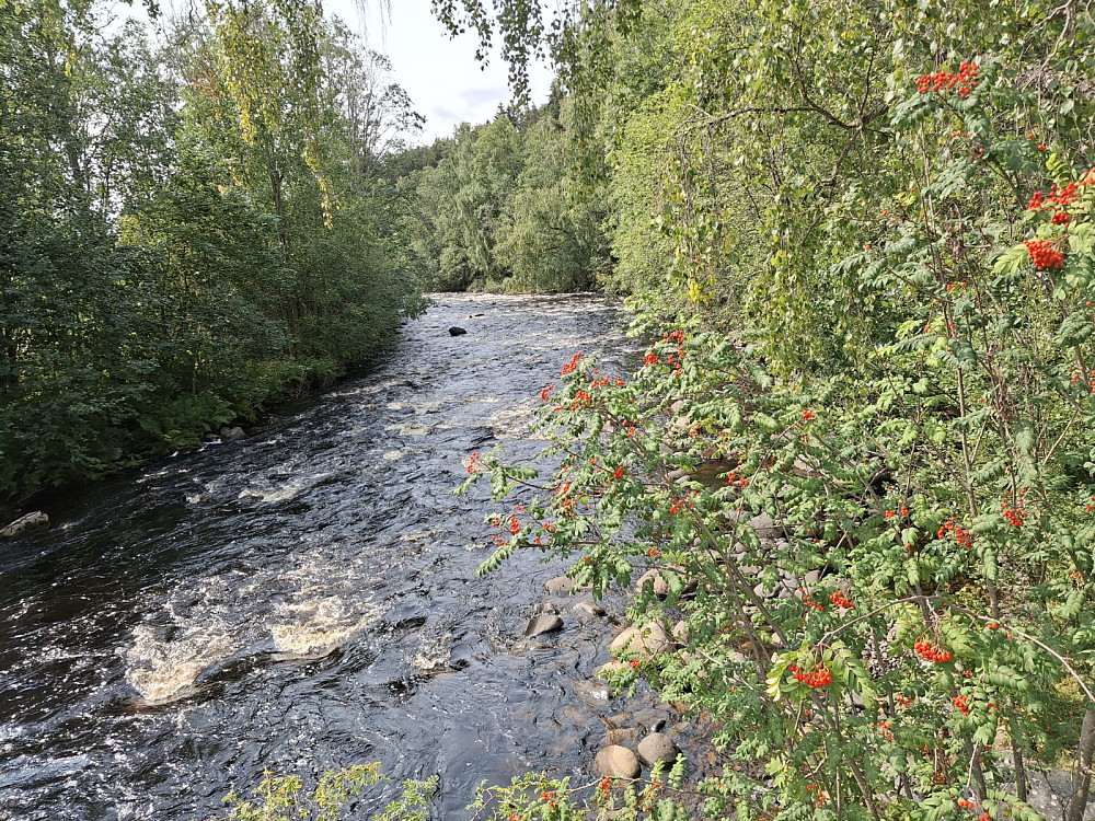Brumunda fra Fossum bru