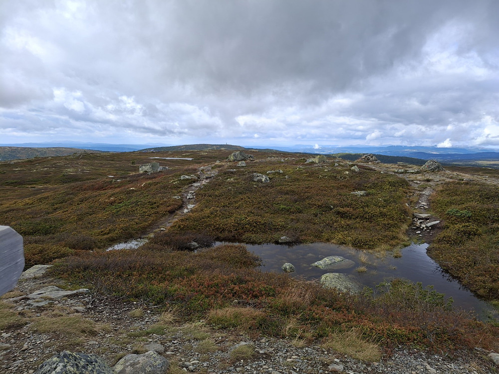 På Reinsfjellet