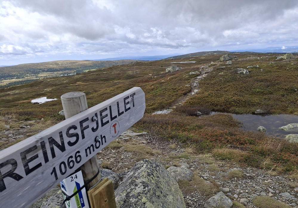 På Reinsfjellet