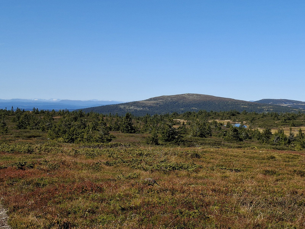 På Lunkefjell vest
