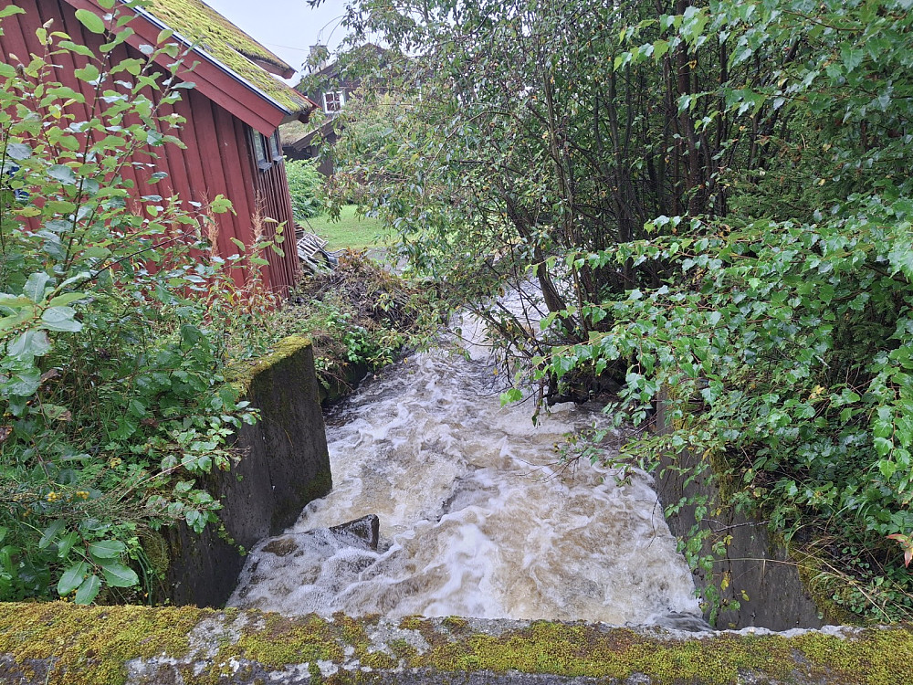 Skurva