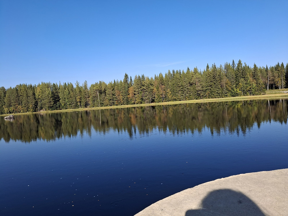 Krokflø