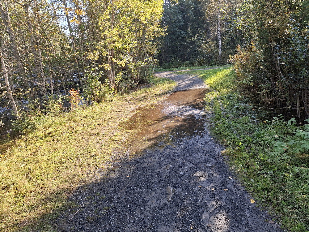 Stien ved brua over Mesnaelva