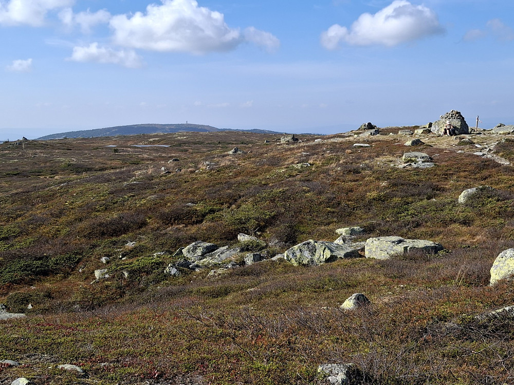 På Reinsfjellet