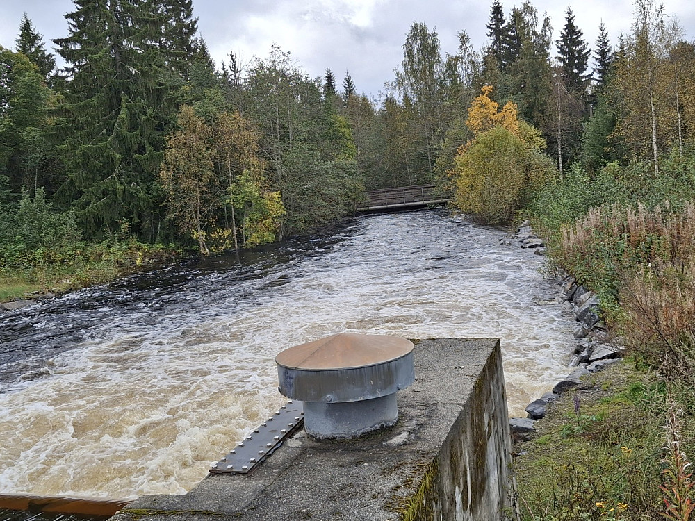 Mye vatn i Mesnaelva