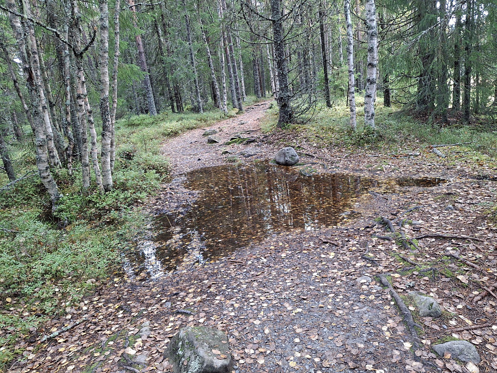 Vatn i et råk som vanligvis er tørt