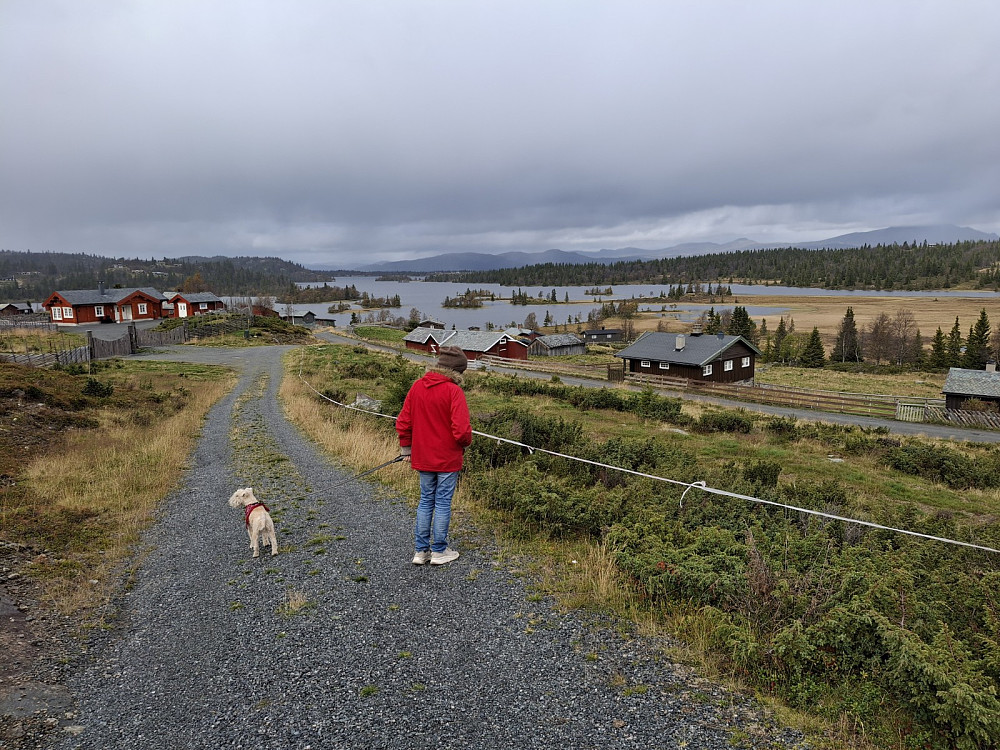 Ved Vangsjøen
