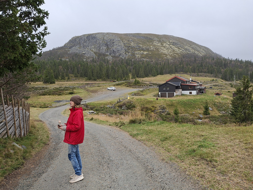 Ved Vangsjøen