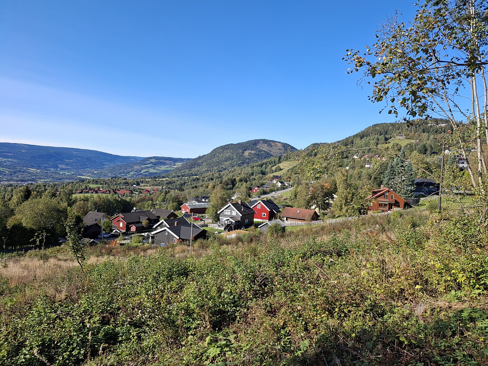 Fra Skårsetsaga