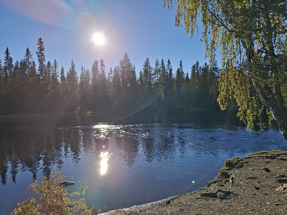Ved Krokbua