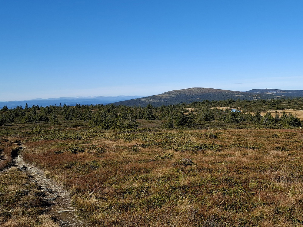 På Lunkefjell vest