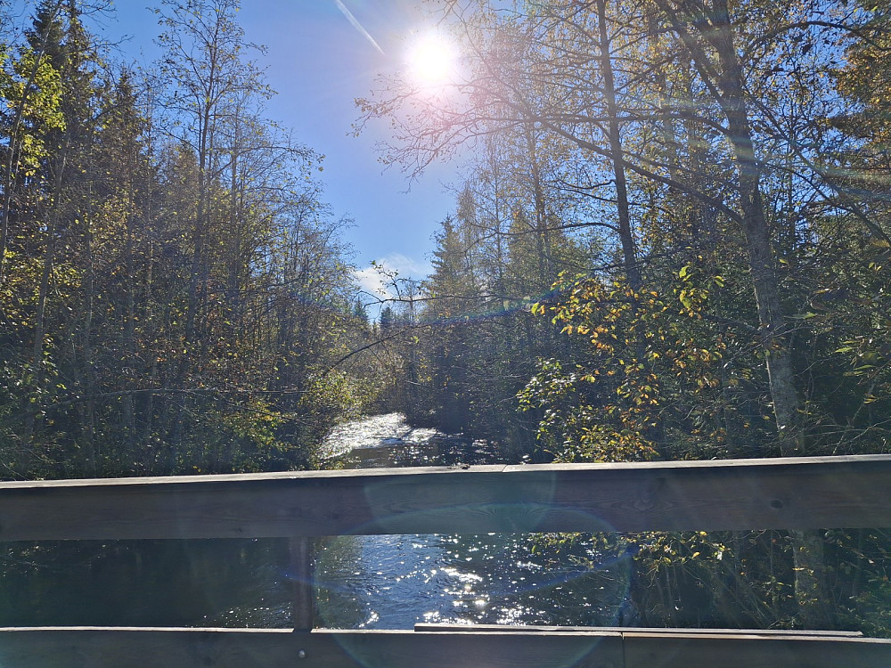 Ved brua over Mesnaelva