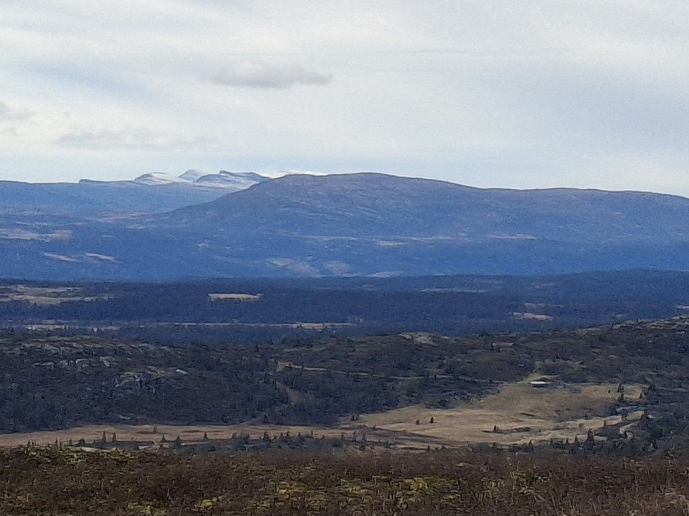 Mot Langsua