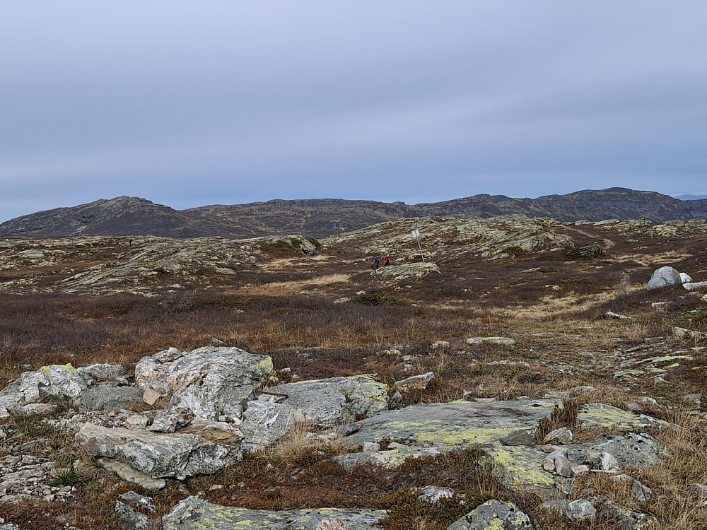 Mot Prestkampen og Bånseterkampene