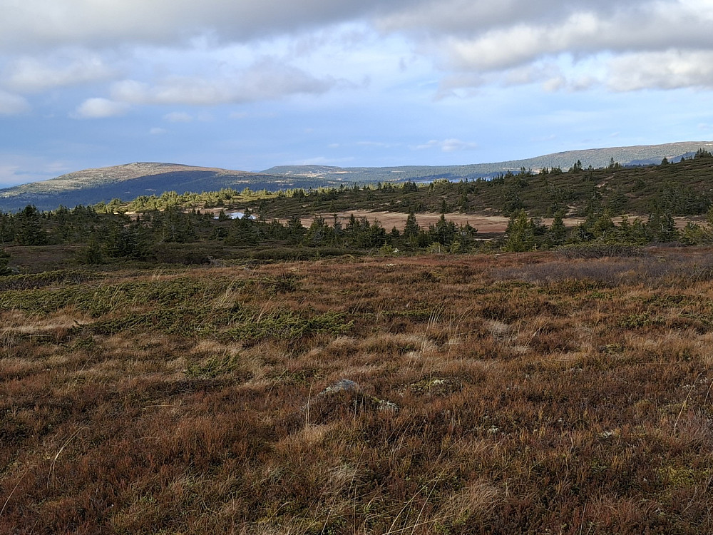 På Lunkefjell vest