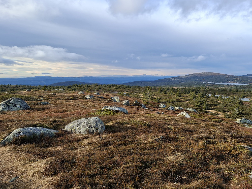 På Høgfjellet