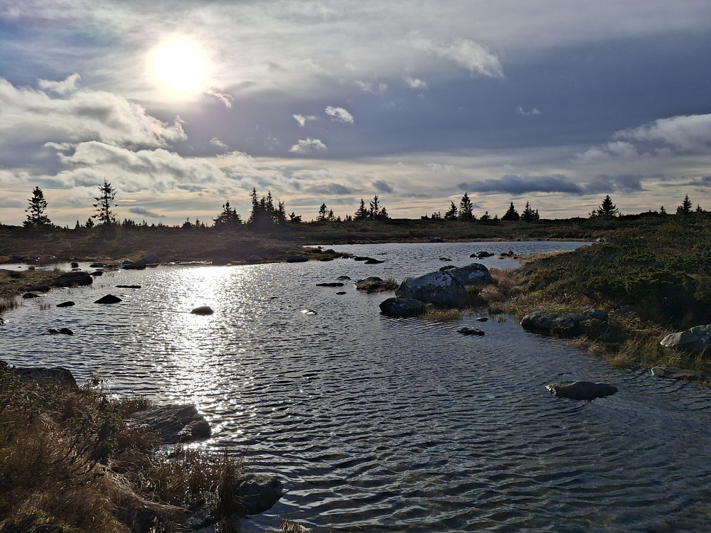 Langs råket fra Høgfjellet