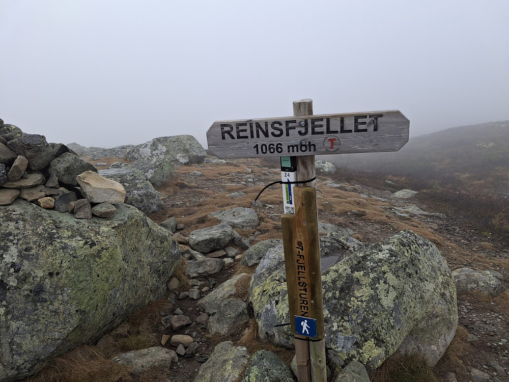 På Reinsfjellet