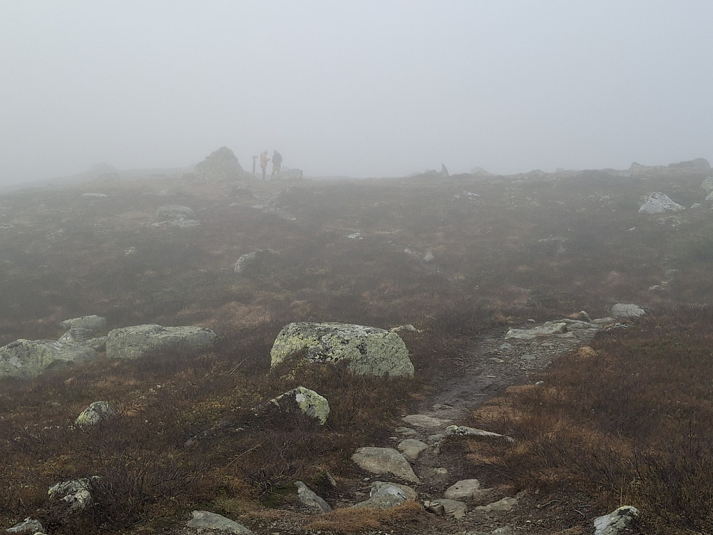 Flere på Reinsfjellet
