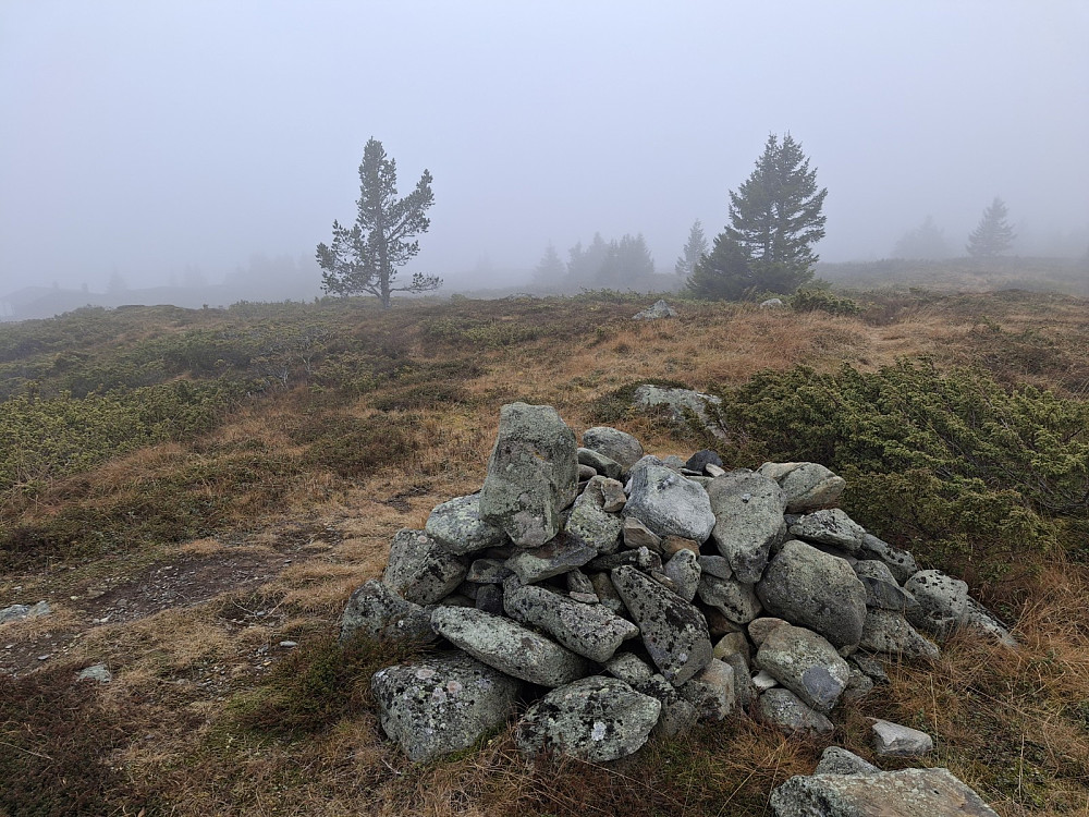 På Reinaflyten