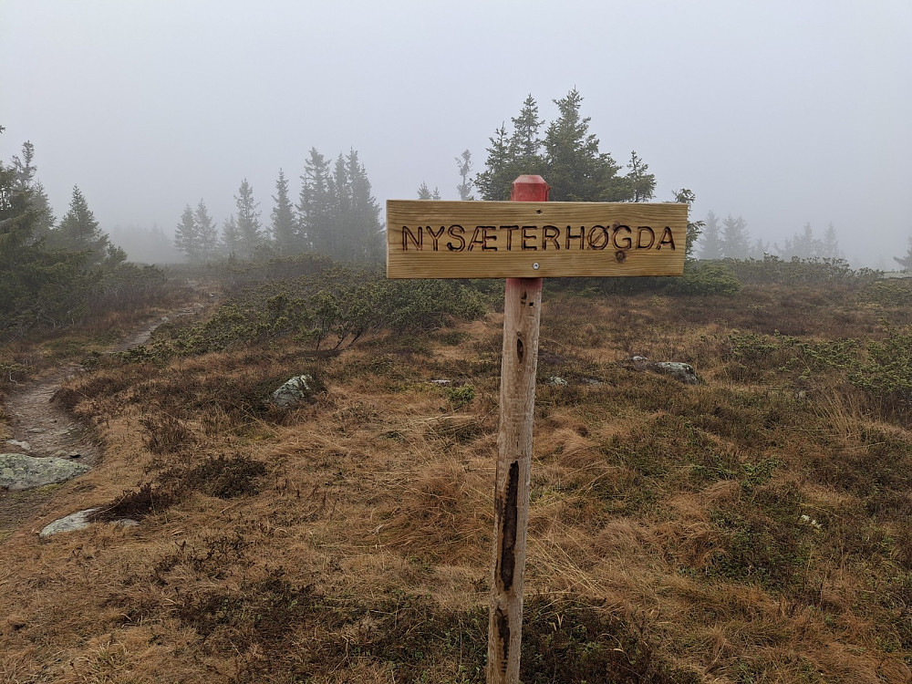 På Ytre Nysæterhøgda