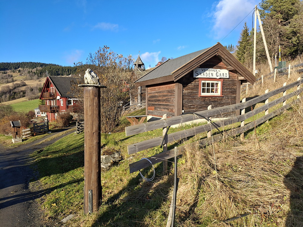 Tilbake ved Skåden