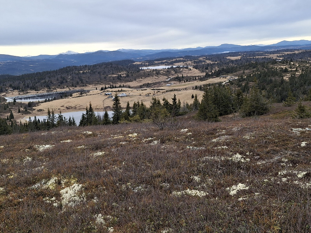 Nysetra fra Toftfjellet