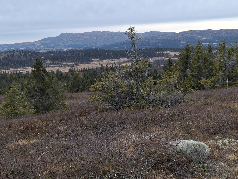 Fra Toftfjellet mot Synnfjellet