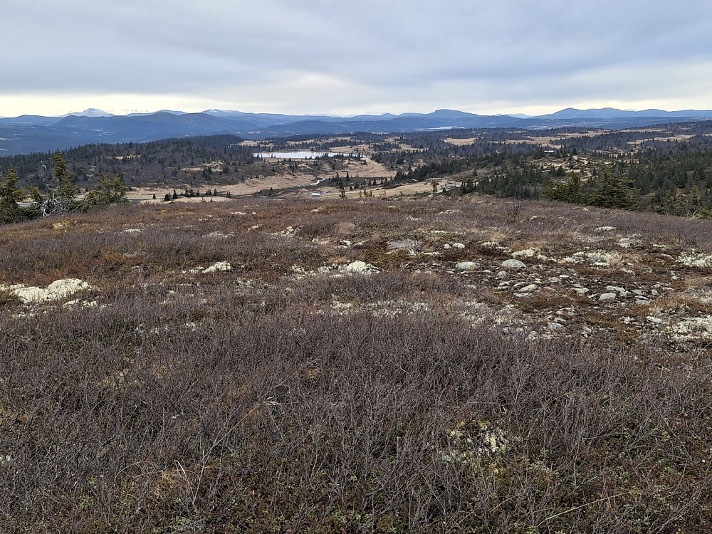 På Toftfjellet