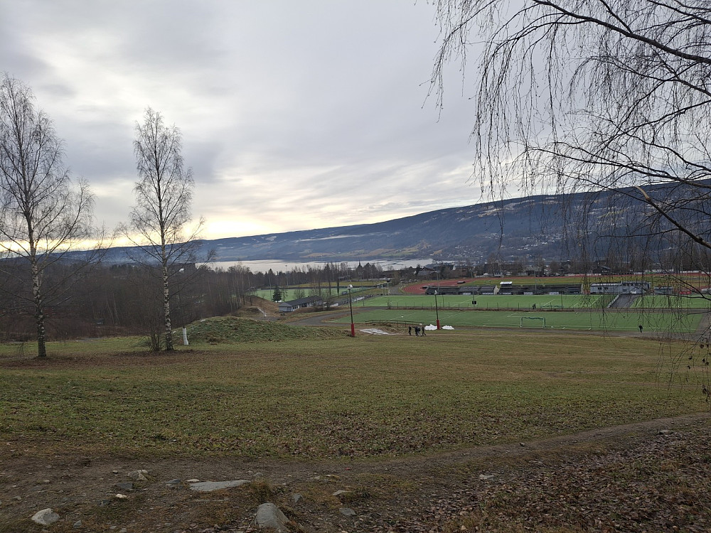 Stampesletta