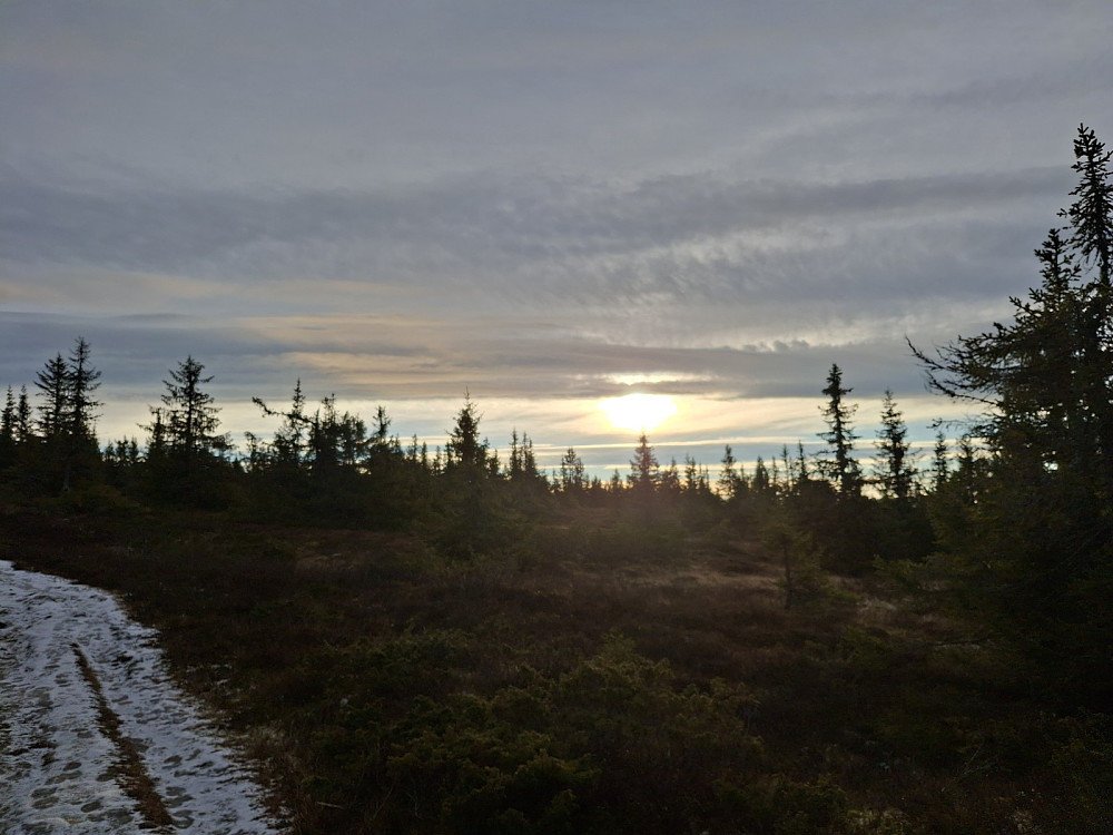 Sol i starten, her rett over tregrensa