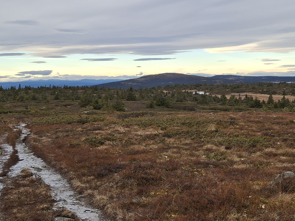 På Lunkefjell vest