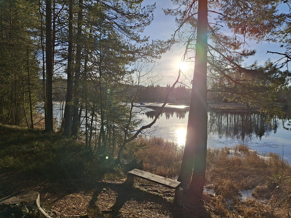 Ved Krokbua