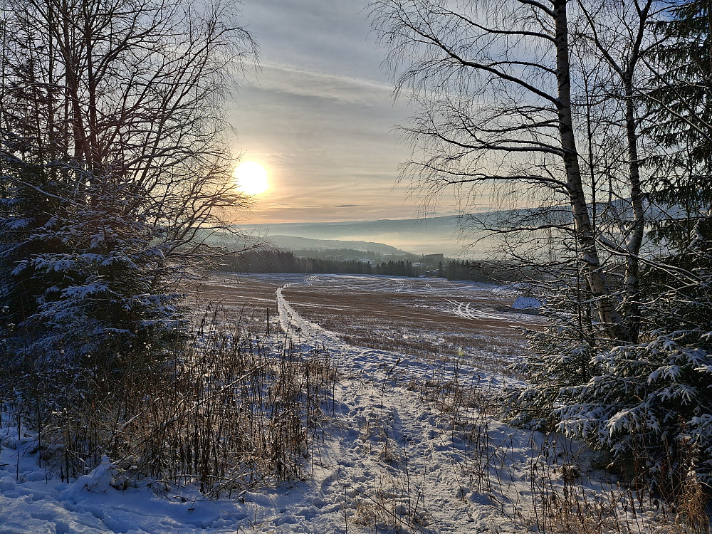 Nedover Lysgårdsjordet