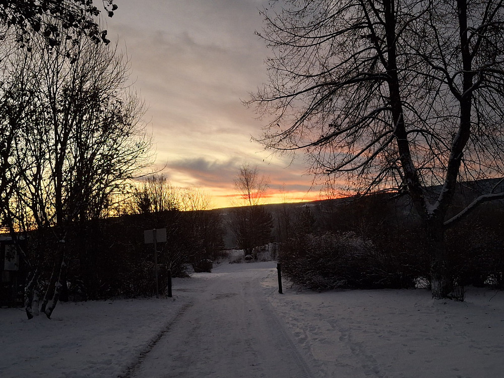 Fra Kirkegården