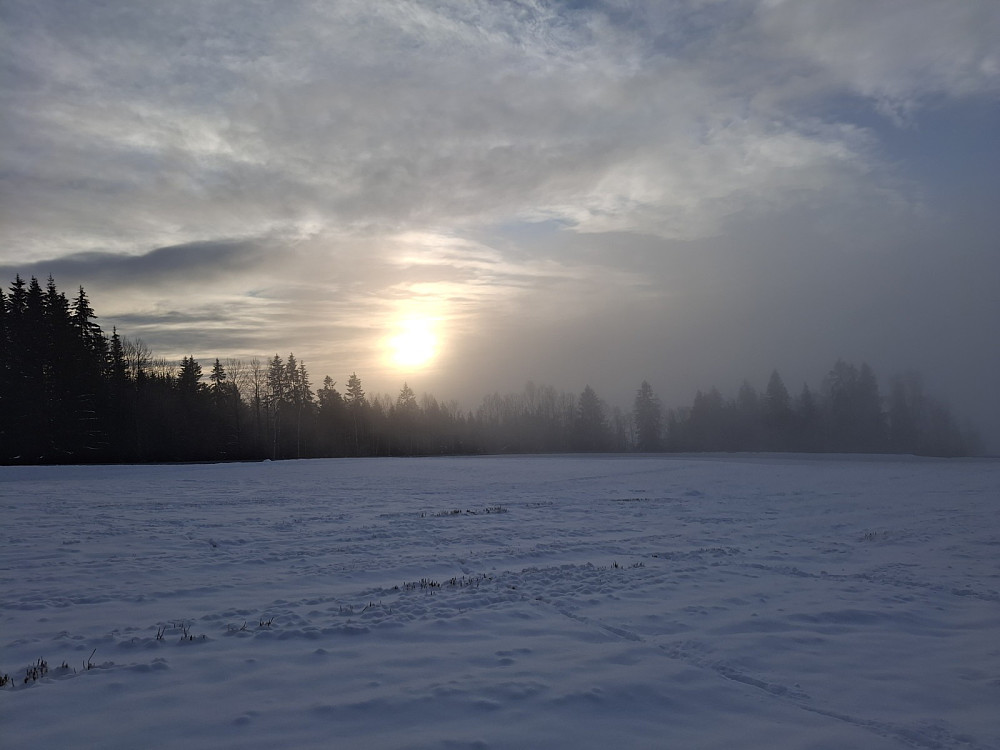 Fra Lysgårdsjordet, kommet ned til tåka