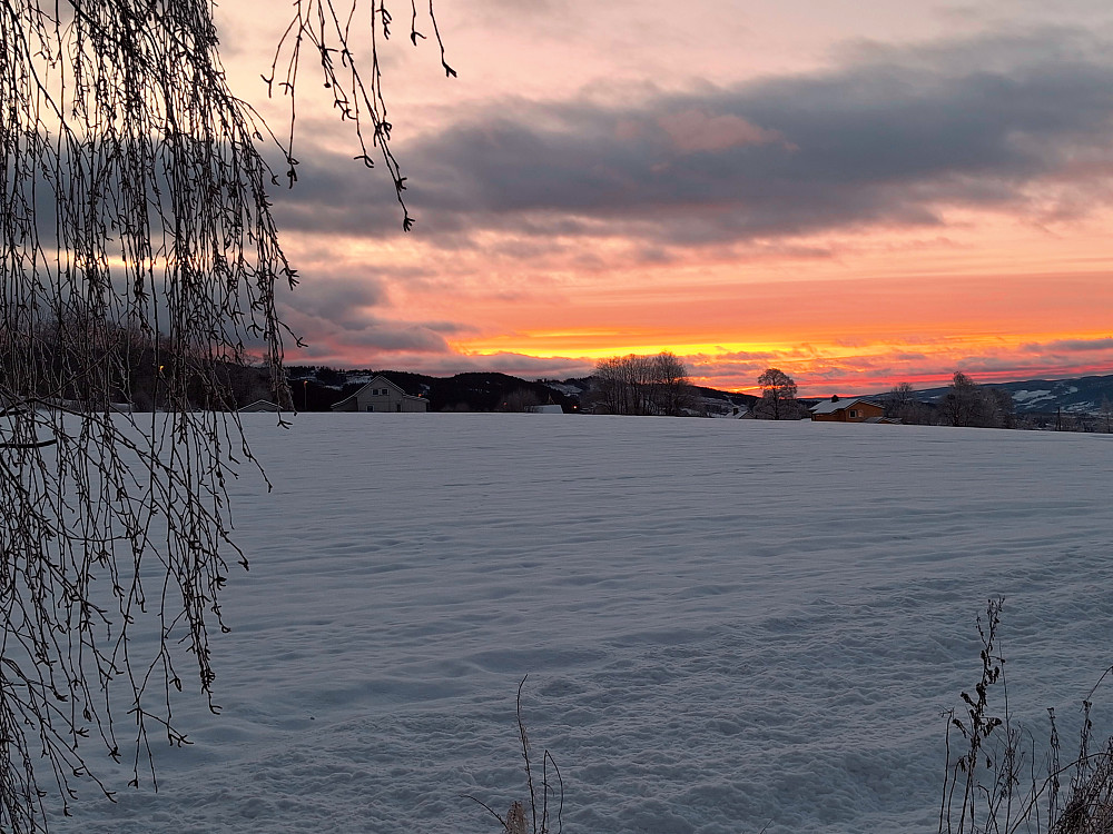 Morgen i Kvernhusvegen