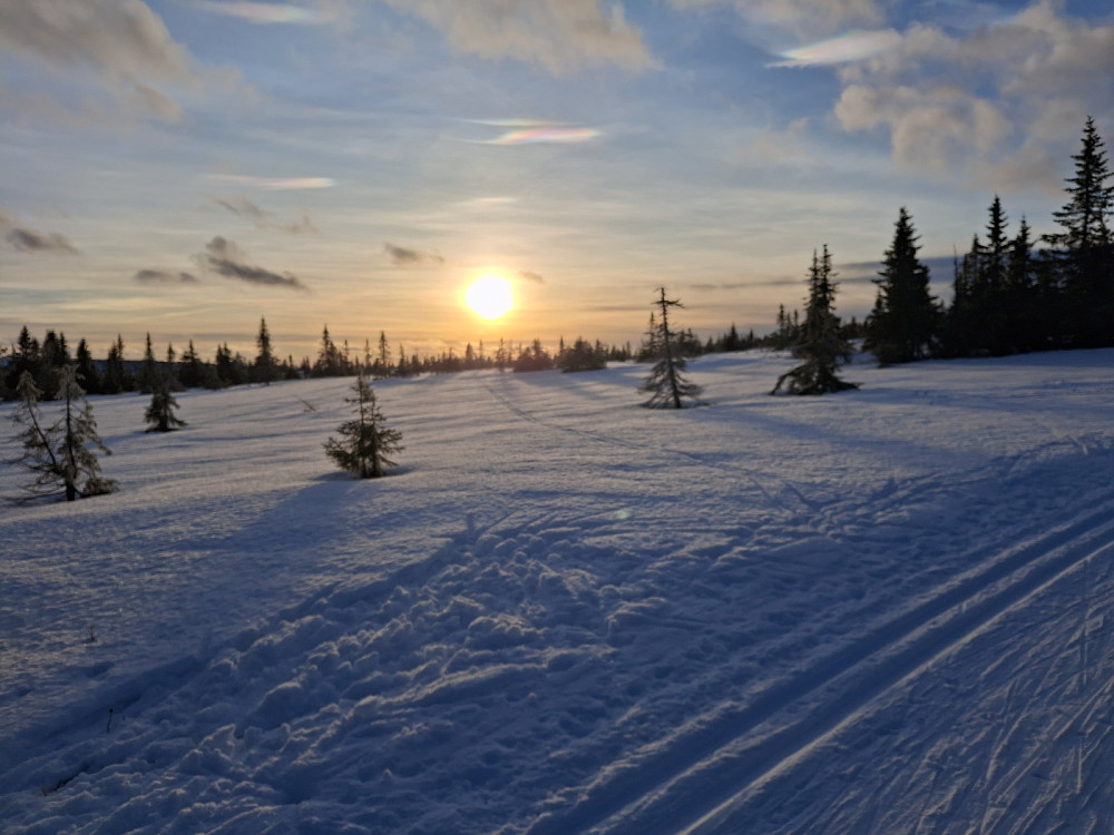 Tilbake ved Sjusjøen