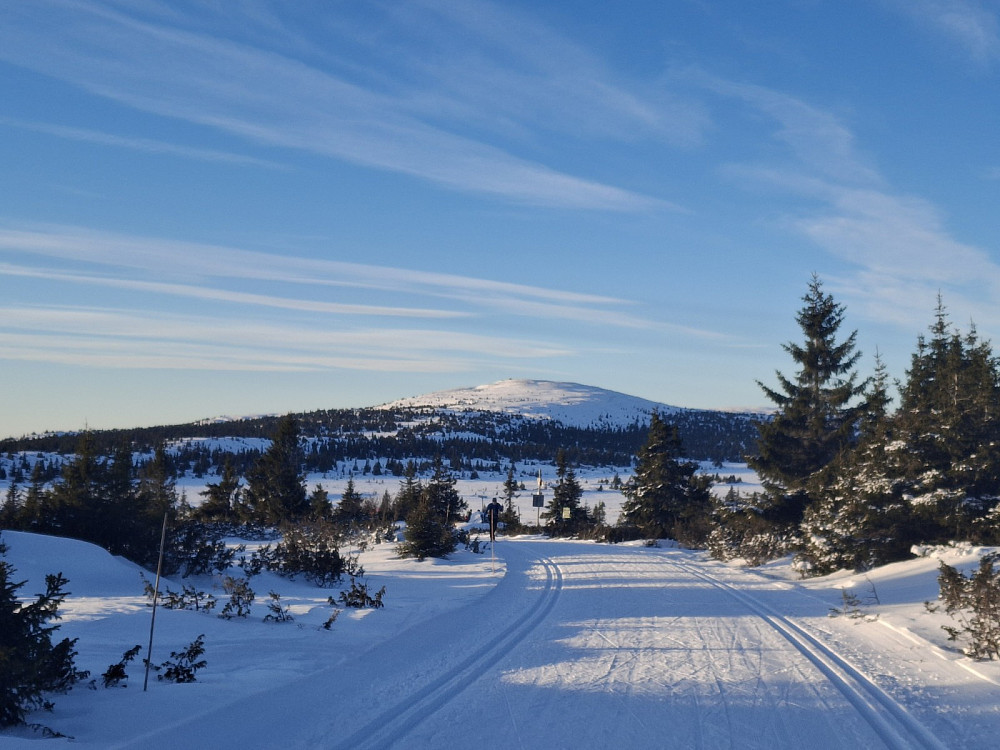 Mot Melsjøseterkrysset og Nevelfjell