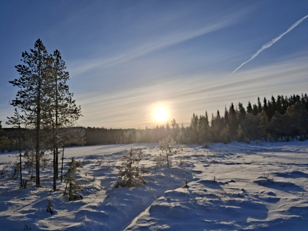 På Bottilmyra