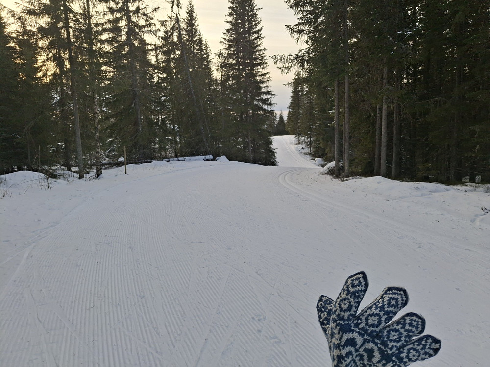 På Kanthaugen