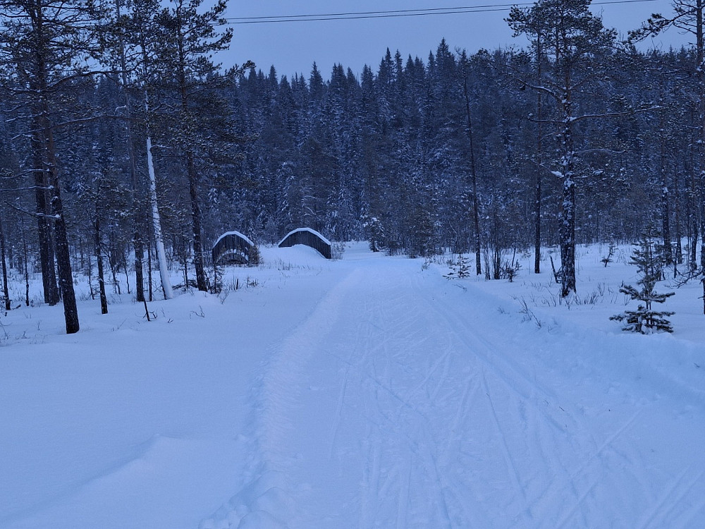Ved Kubrua