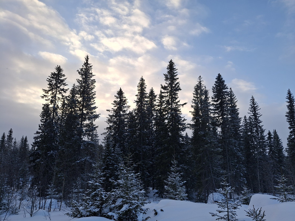 I Birkebeinerløypa