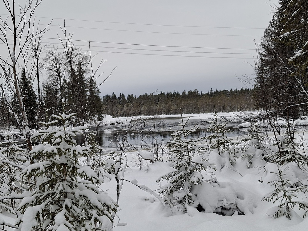 Mesnaelva ved Birkebeinerløypa