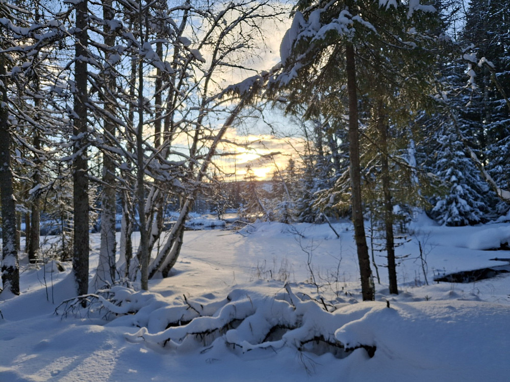 Ved Øvre Køyta