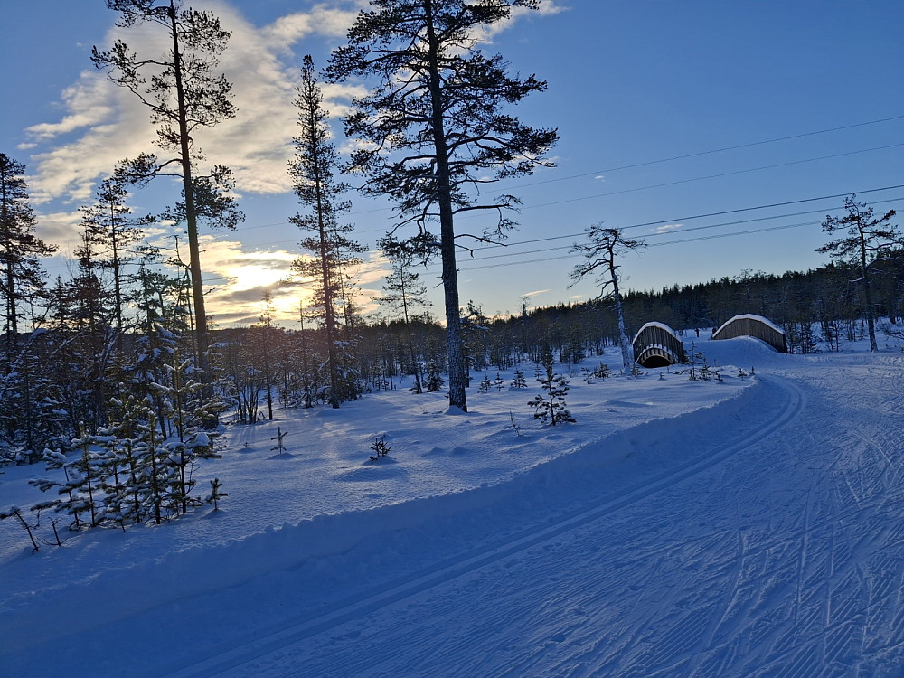 Ved Kubrua