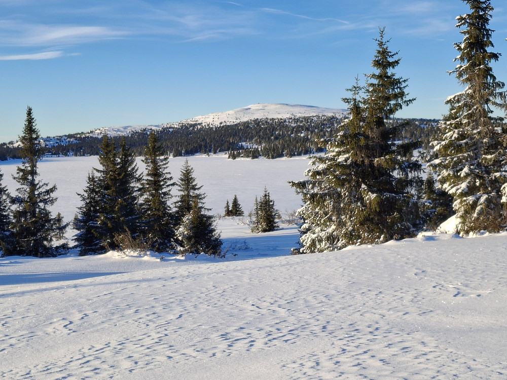 Mot Nevelfjell fra Reinavegen