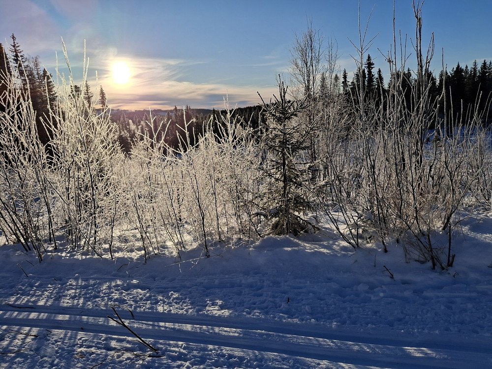 Idyll i Birkebeinerløypa