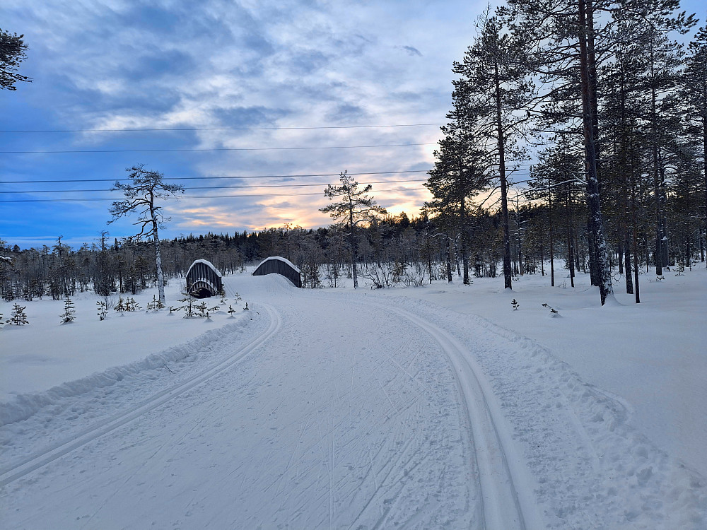 Ved Kubrua