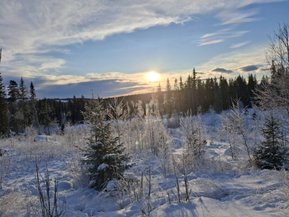 Fra Birkebeinerløypa mot Abbortjern
